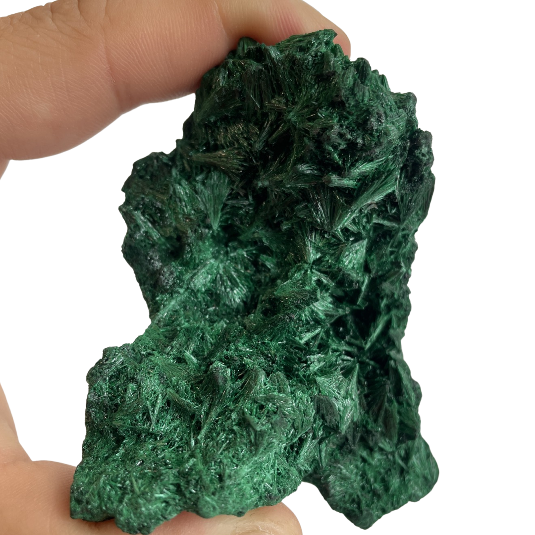 Velvet Malachite Speciman