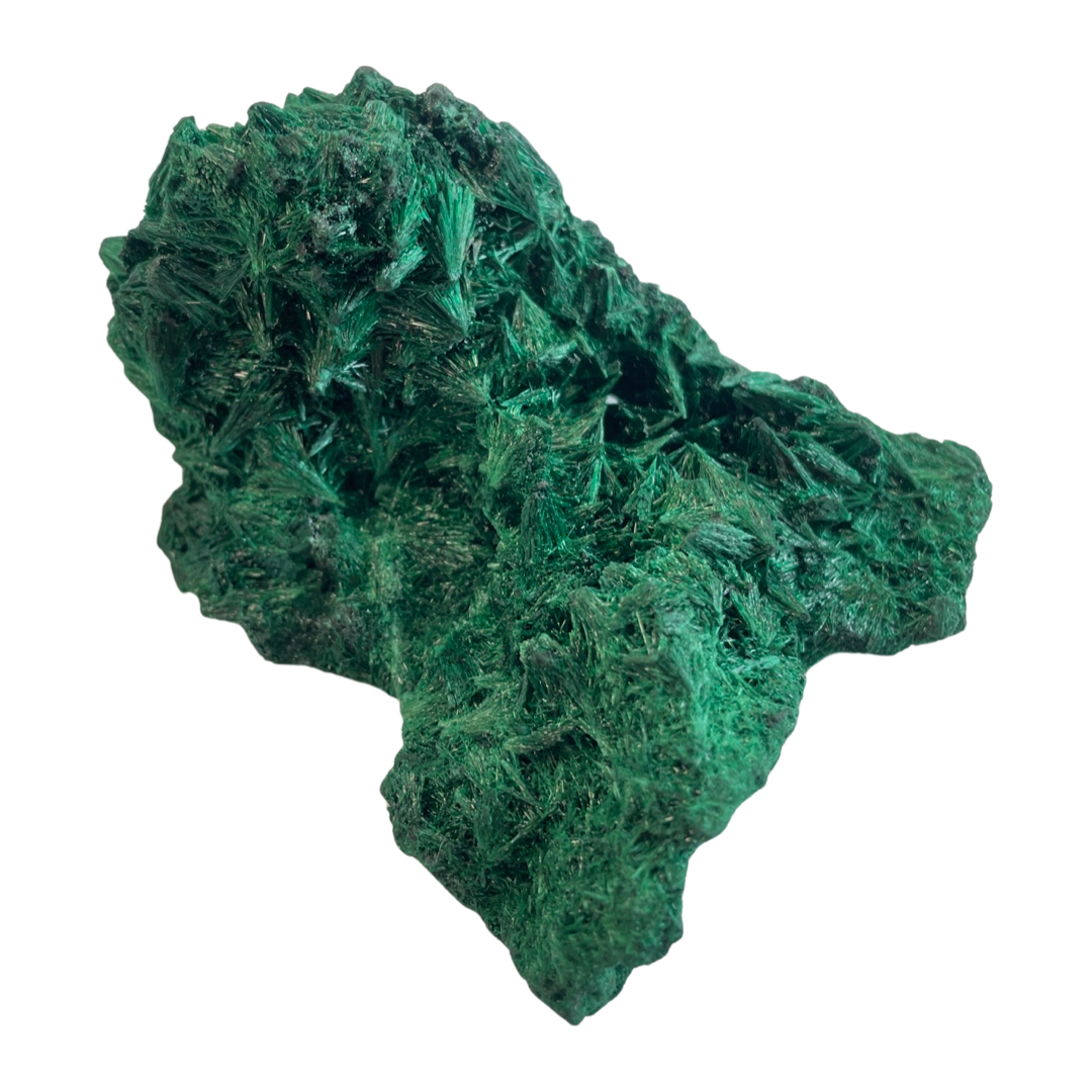 Velvet Malachite Speciman