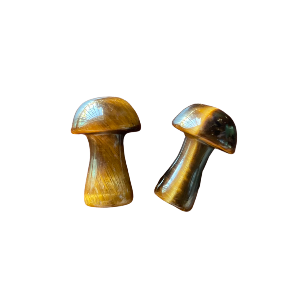 Tigers Eye Mushroom