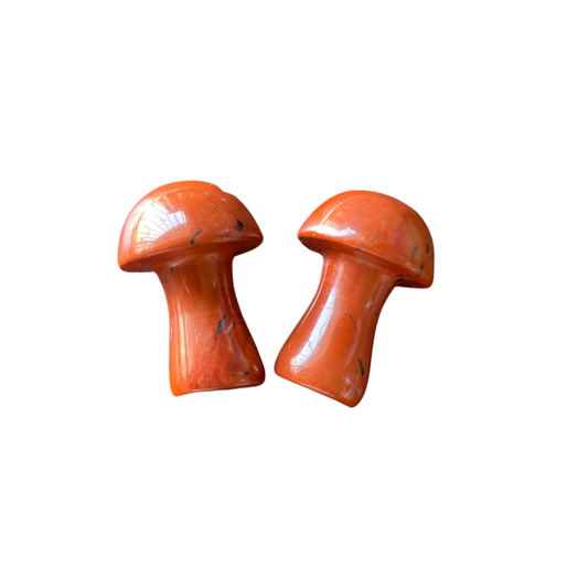 Red Jasper Mushroom